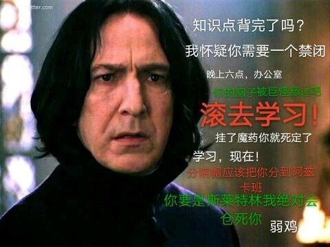 让我看看是谁的魔药课又挂科了？