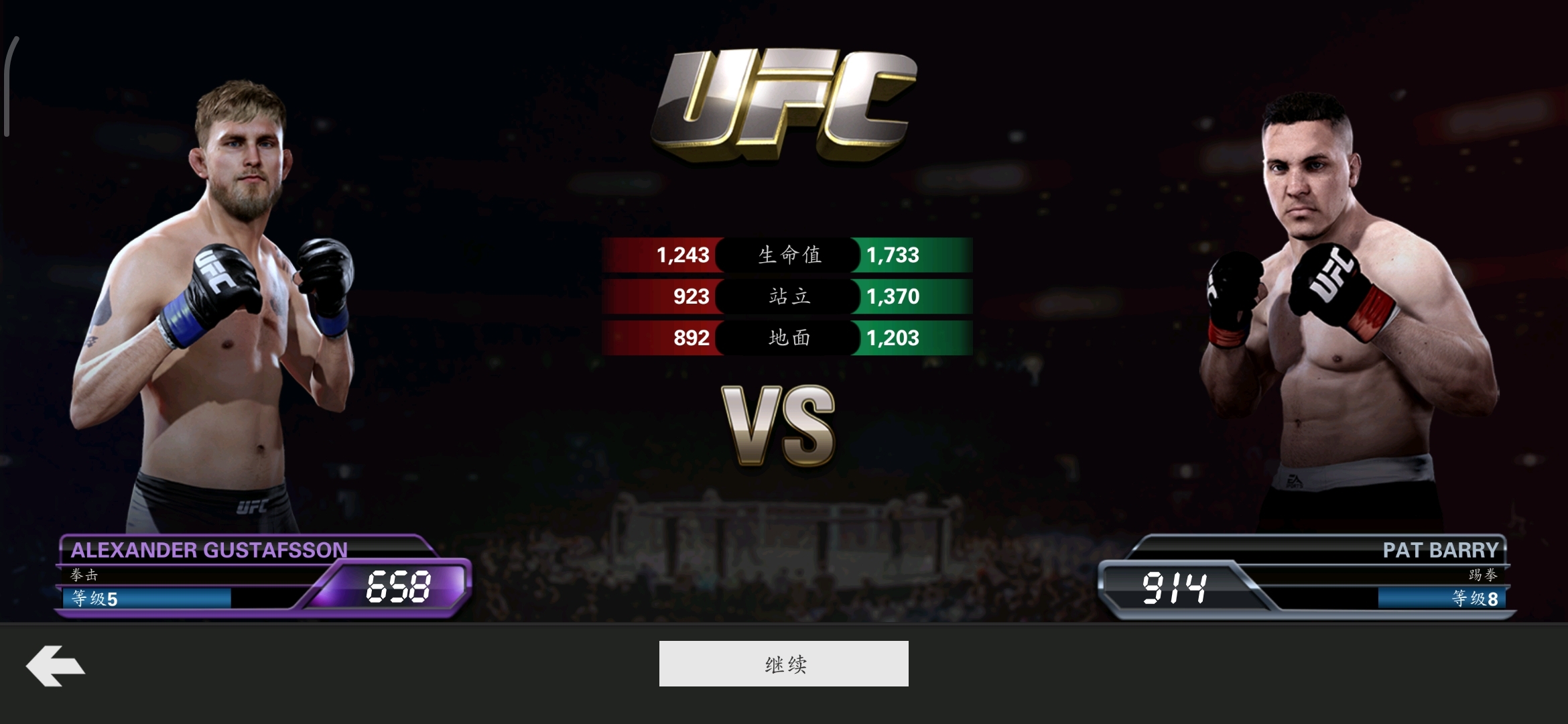 UFC综合格斗冠军赛