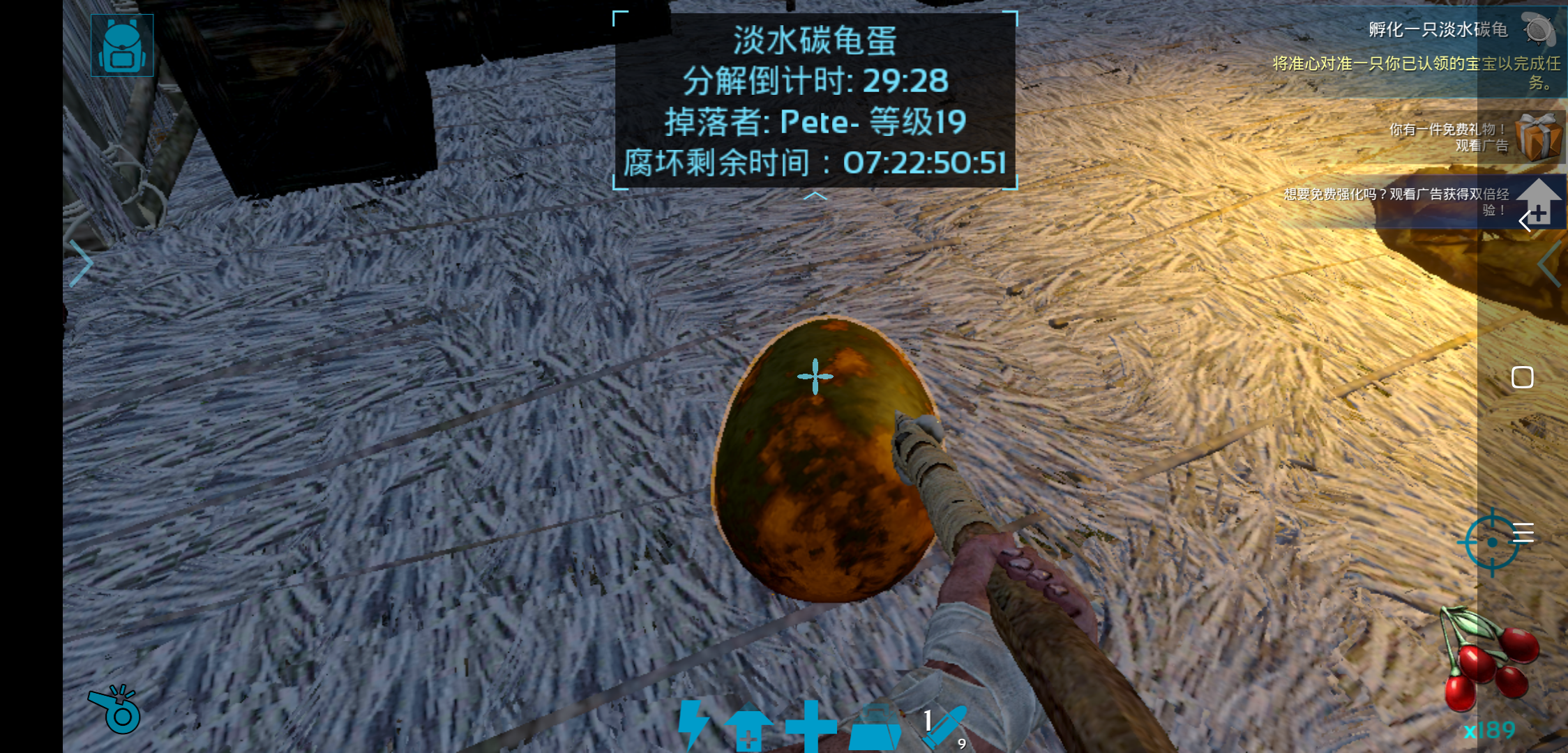怎么孵化淡水龟啊。不知道怎么孵化的。