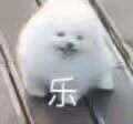 元宵节特辑［许墨］