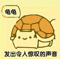 五区河豚等接引。。。。。。。。。