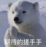 十二天了！不到两周了！