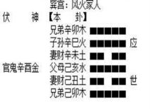 【皮肤赏析】杨仪—作死小能手