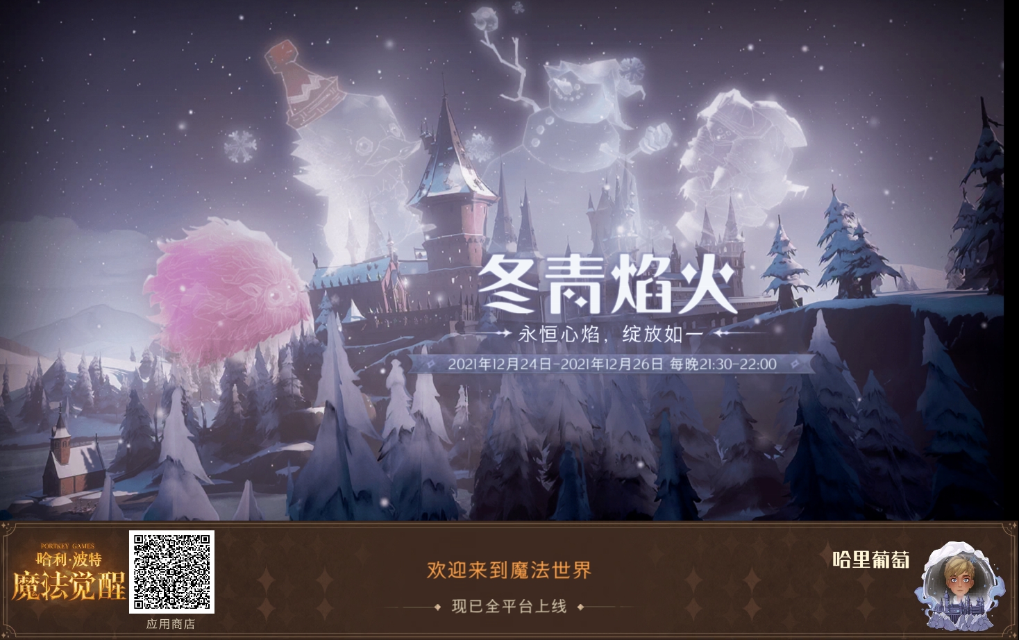 冬青烟火，永恒烟火