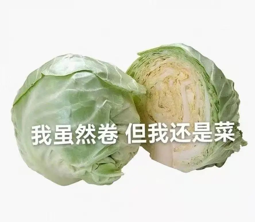 平民菜狗🐶