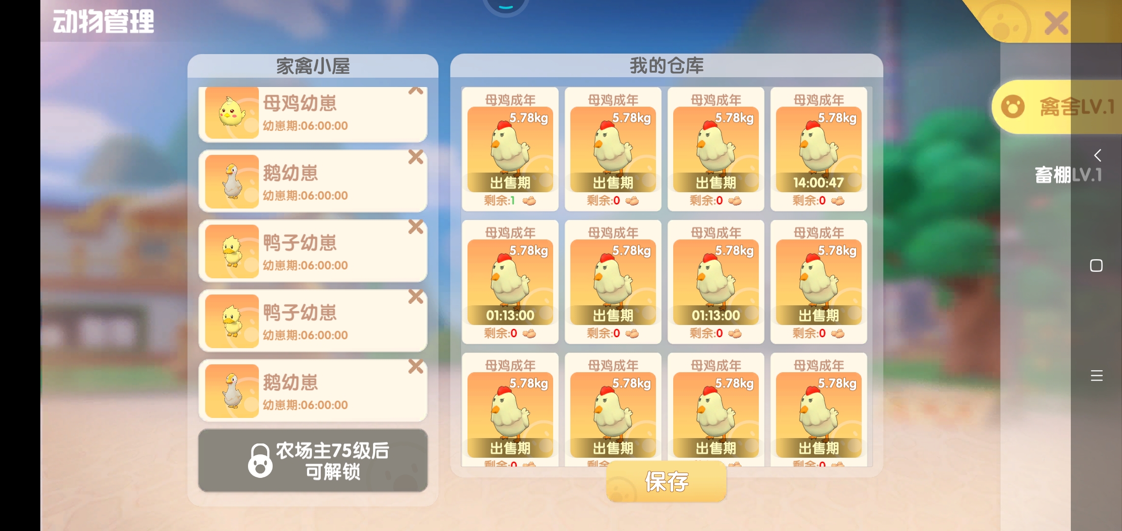 关于卖掉成长鸡鸭