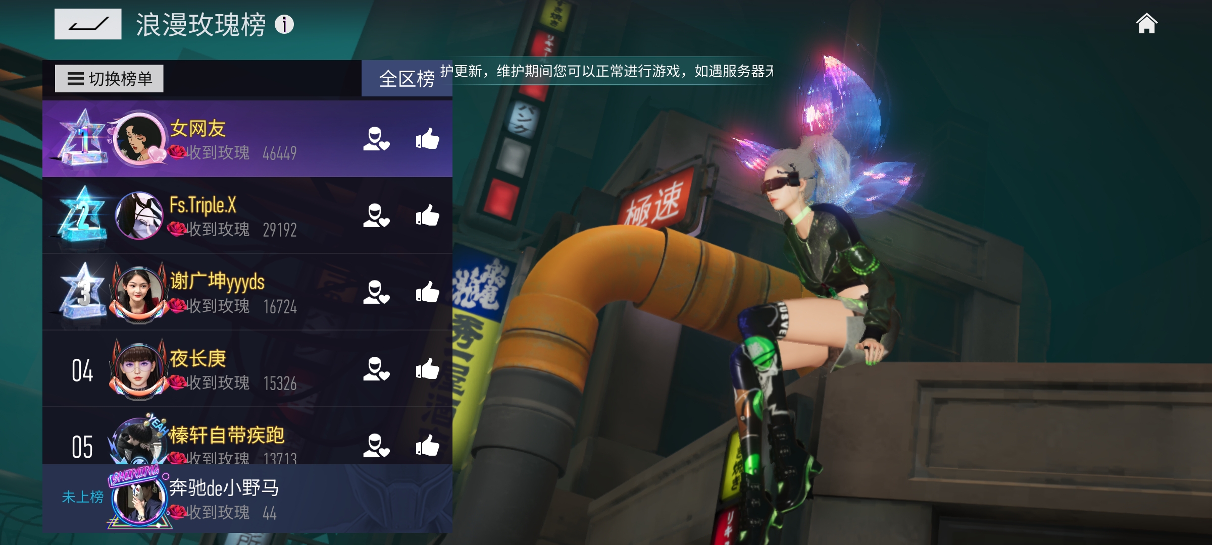 我的浪漫玫瑰