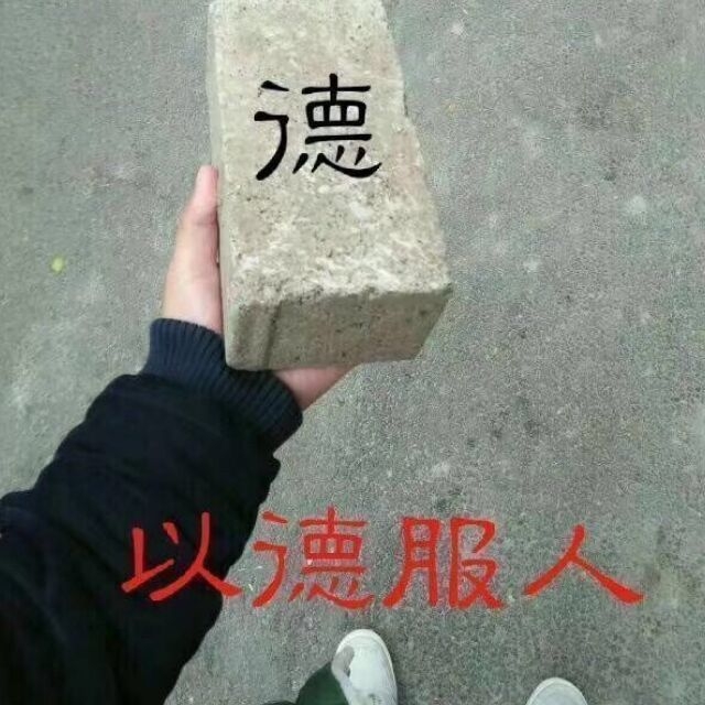 打卡打卡打卡