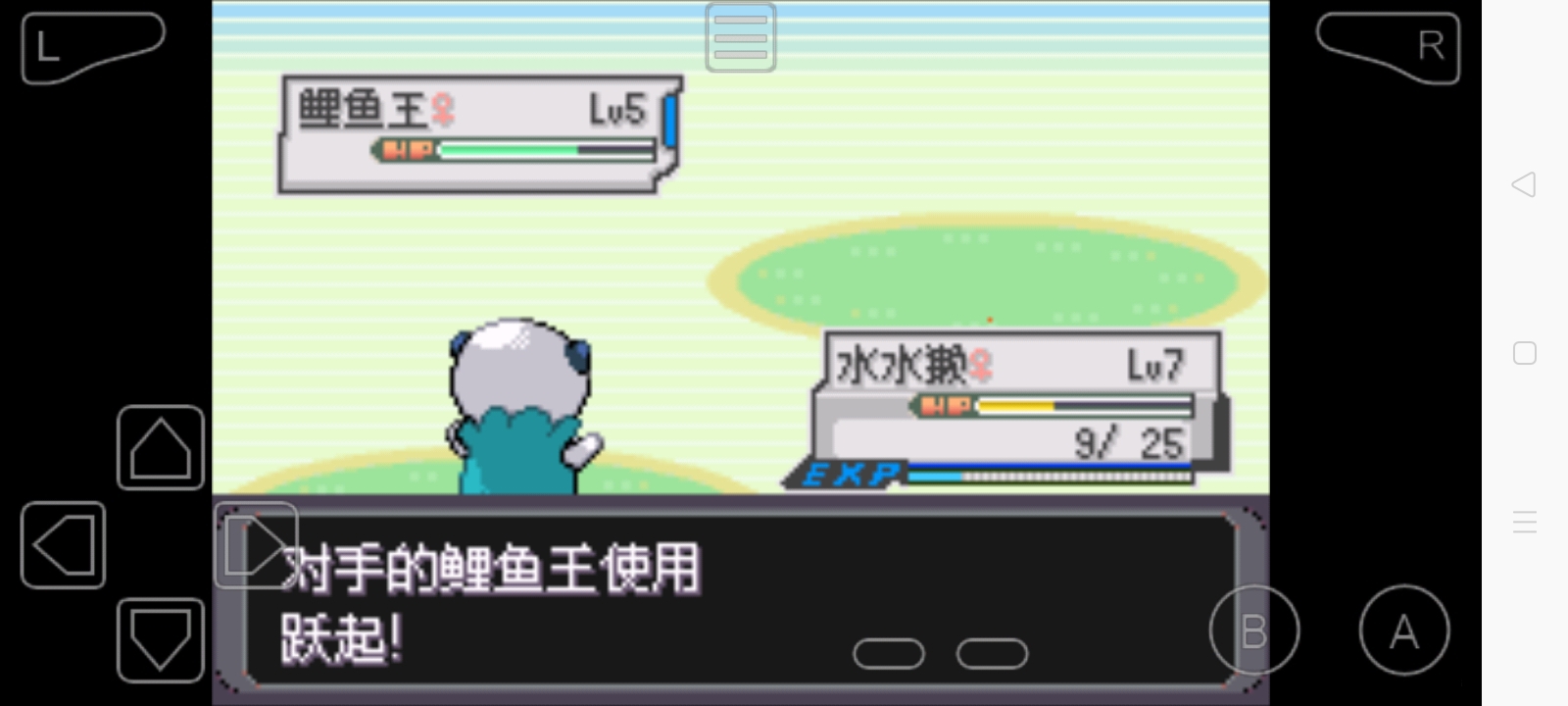 鱼呢？
