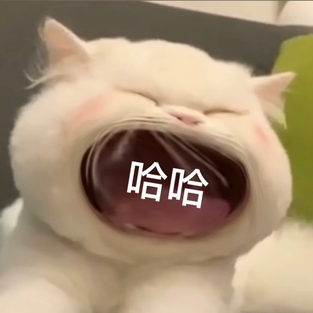 角色捏脸*