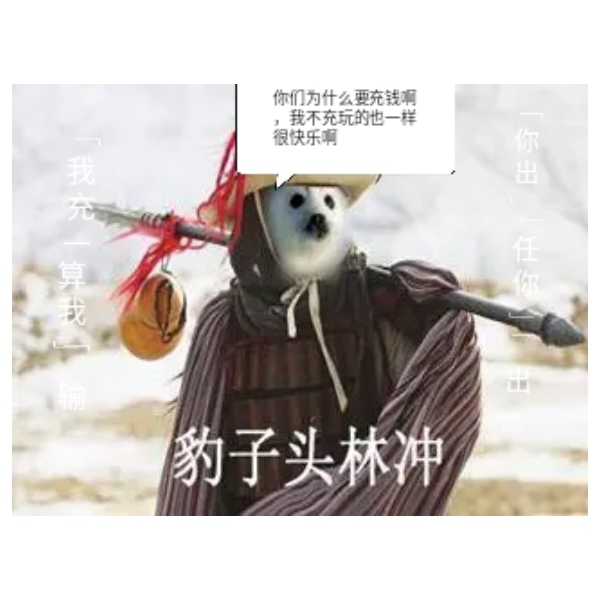 你们为什么要充钱啊，我不能理解啊