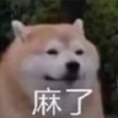 所以体验服什么时候能玩