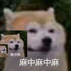 所以体验服什么时候能玩