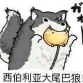 太喜欢了呀，就是剧情太僵硬，配音也不咋走心，打击不是很流畅，