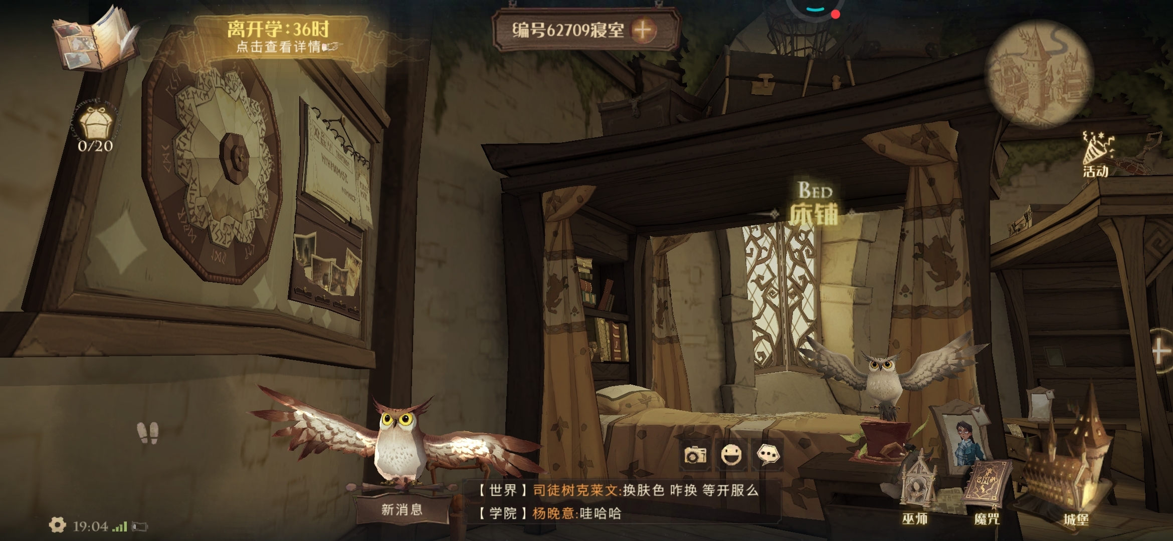 我的猫头鹰🦉 帅帅帅╮( •́ω•̀ )╭