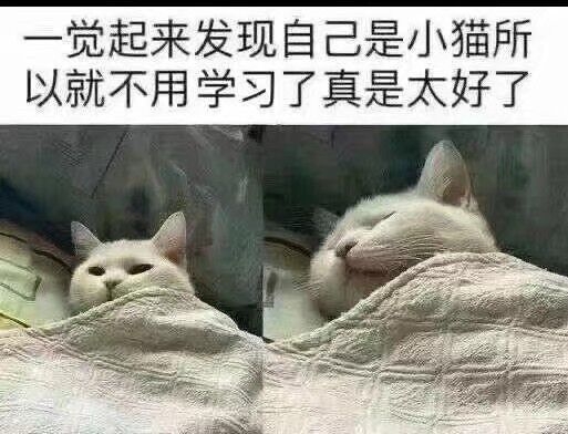 ＃使命卡片＃