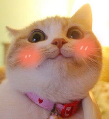 有谁知道B-02怎么过吗！救救孩子吧