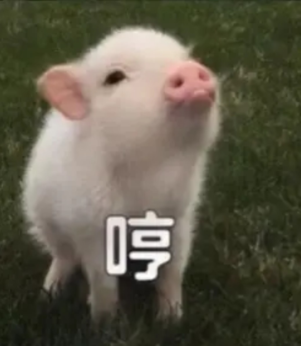 淬炼一直搞不懂，有没有大佬教一下