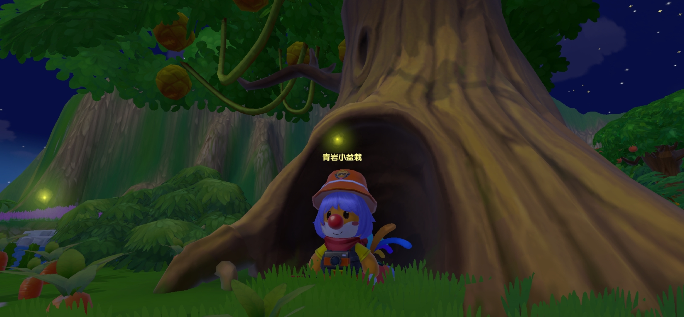 ＃照片＃ 在浆果丛林看萤火虫