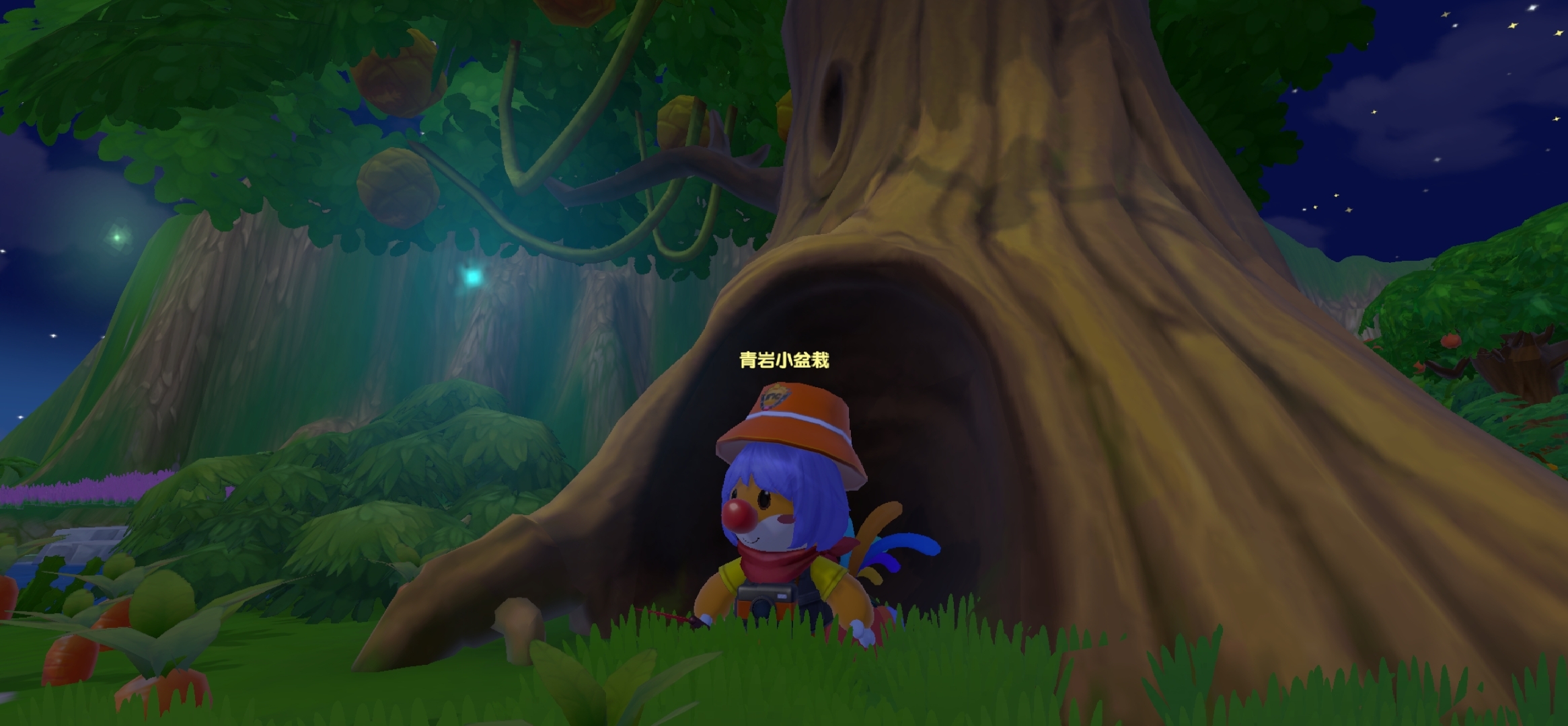 ＃照片＃ 在浆果丛林看萤火虫