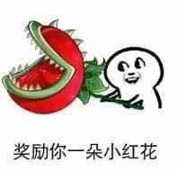为了获取碎片