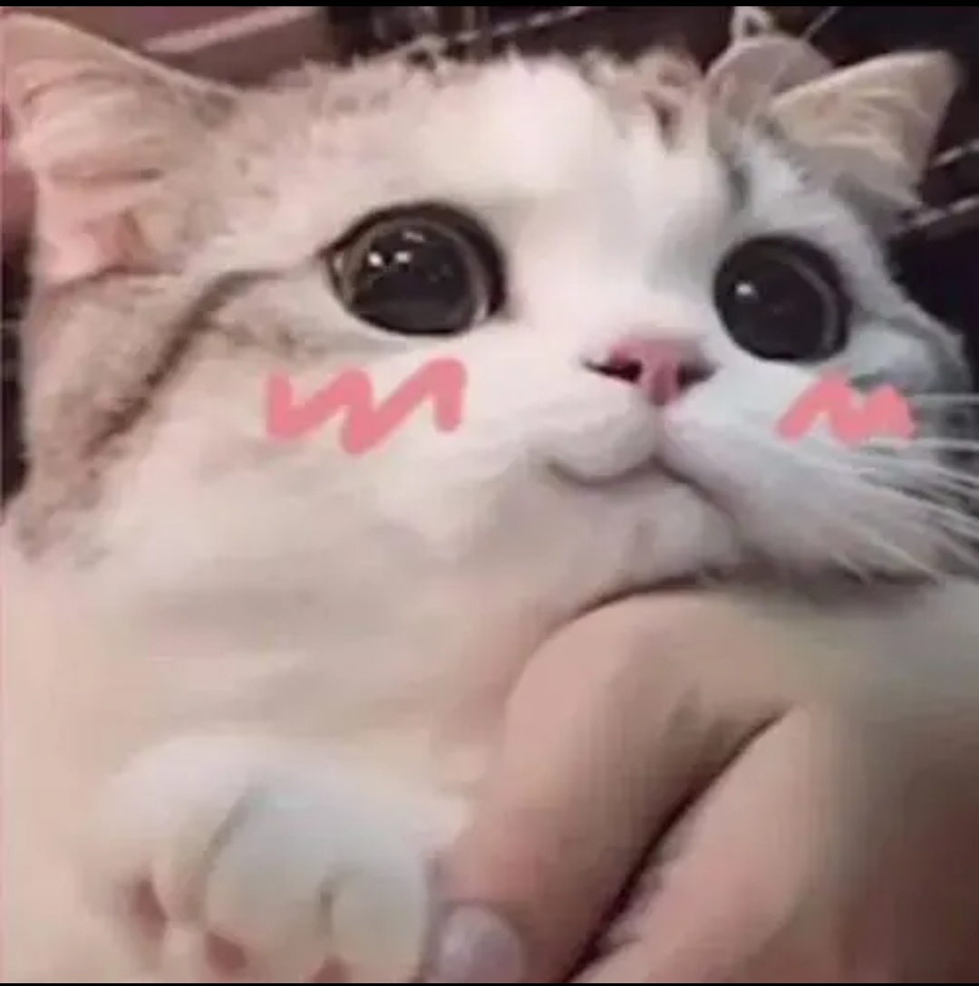 小小的炫耀一下评分