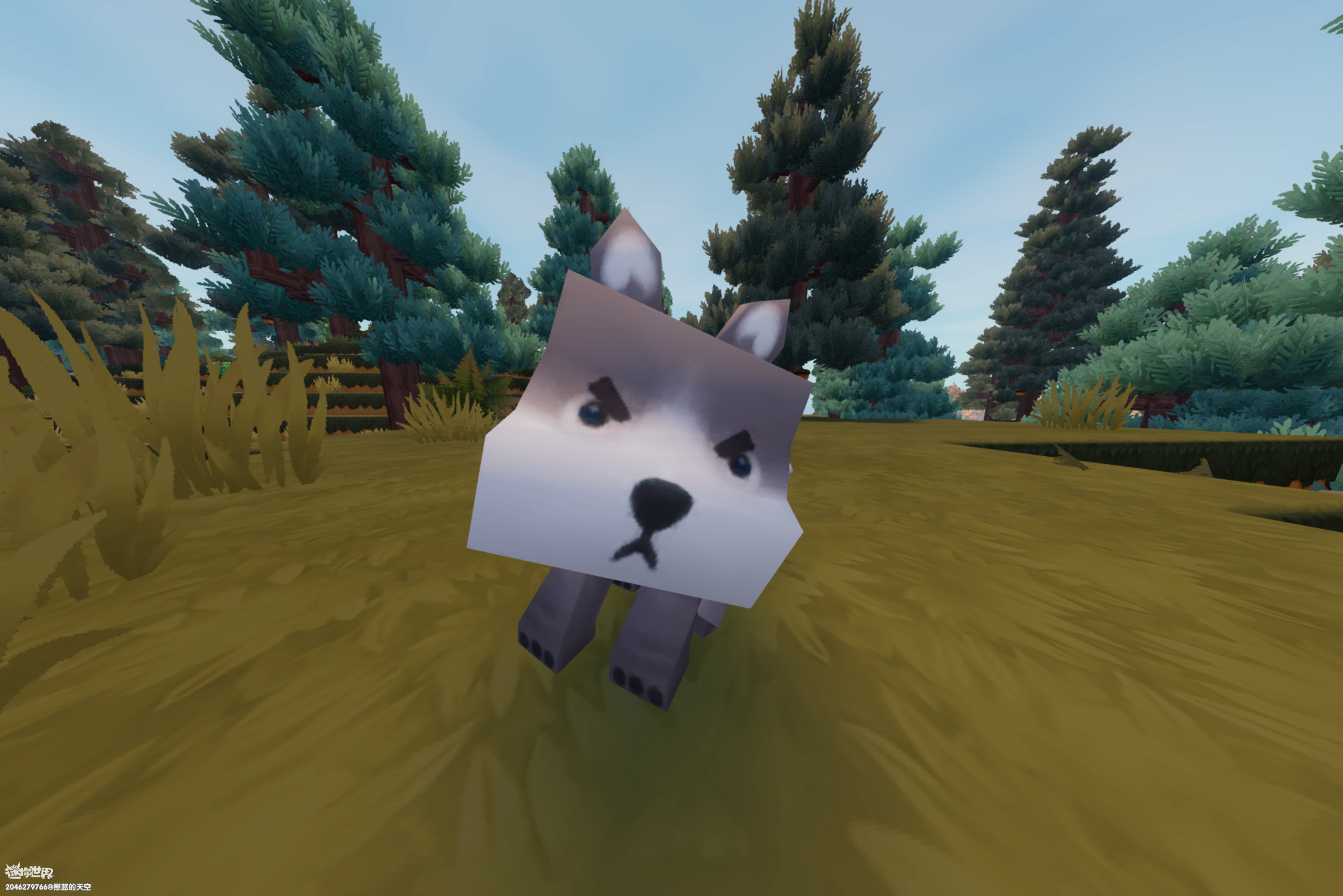 我的迷你暑假