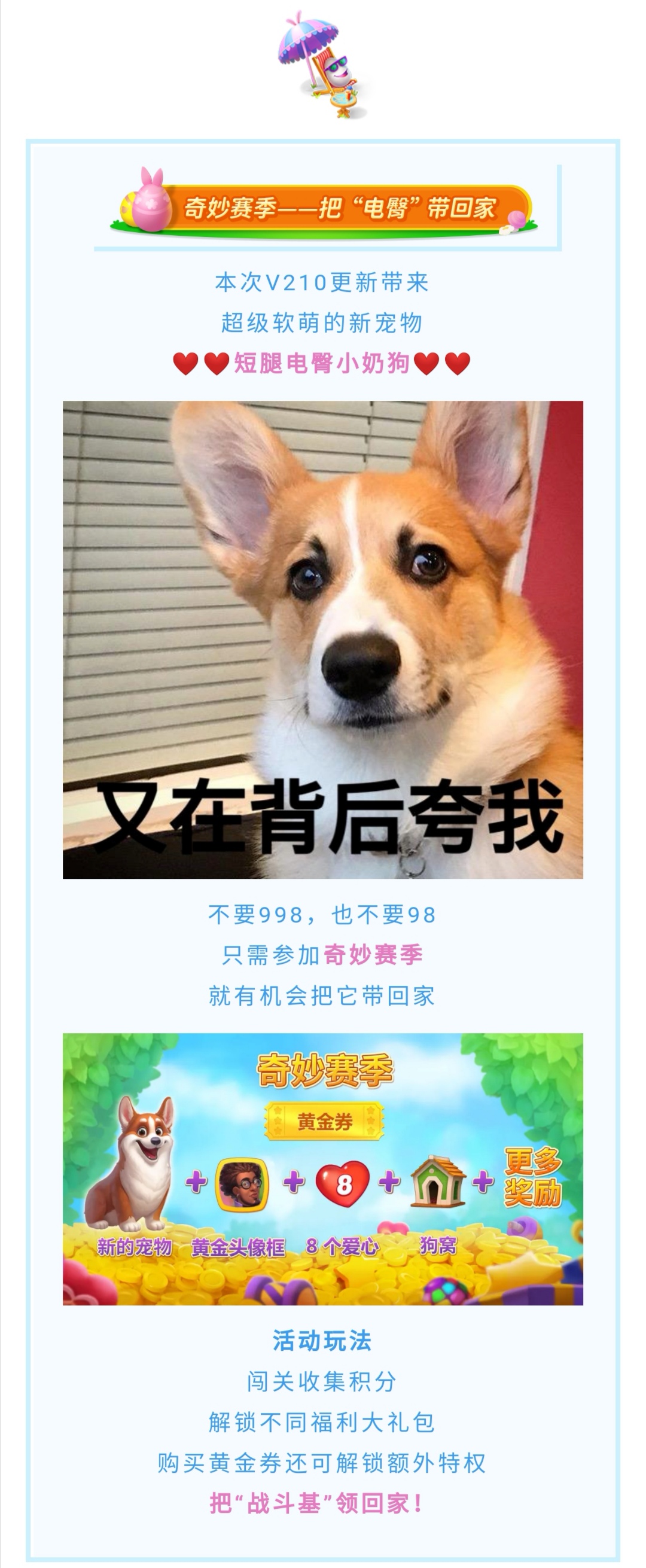 【有奖互动】您有一只“战斗基”待领养~