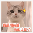 《三十六计》 手游明天，有一场元宵狂欢！