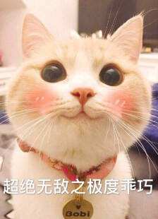 《票房大卖王》拉上挚友一起冲鸭！