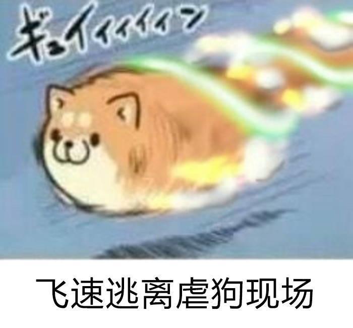 【弹珠台】剪影大竞猜，3个币完成挑战（第5期）