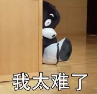 双dan和“礼”在一起