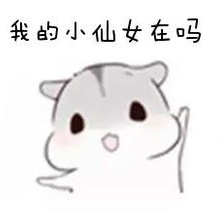《无尽银河》小编决定不等图片素材了，先发再说