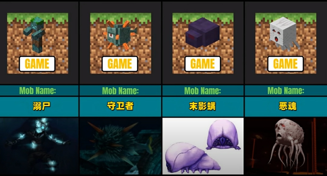 我的世界游戏中的怪物出现在现实中的模样末影人太喜感了