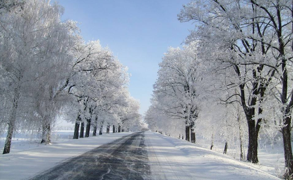 【话题】洁白的大雪在纷飞，南方的伙伴在哭泣.docx