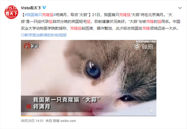 【话题】汤姆猫给你介绍新朋友~