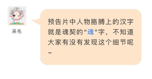 【新职业】最强法系爆发，魂契核心技能解读！