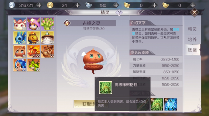 防御系精灵养成攻略与职业搭配