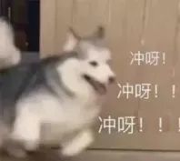 苍穹之巅周年庆邀请赛即将打响，全新职业预告片曝光！