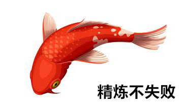 点击这条锦鲤，获得今日欧气！