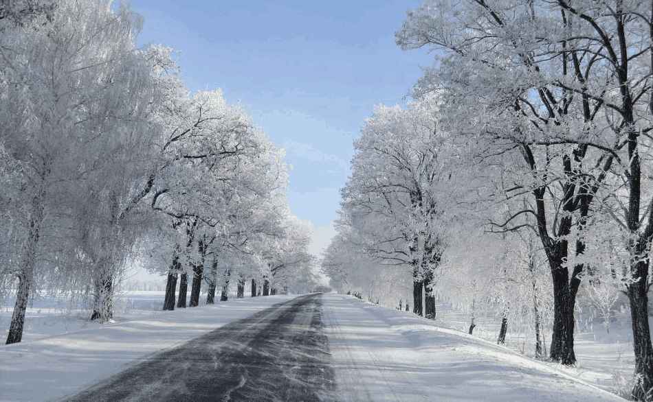 洁白的大雪在纷飞，南方的伙伴在哭泣