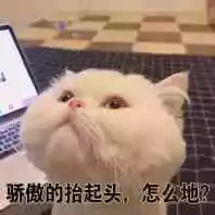 新车试驾 | 小短腿亲自上阵！信不信宝宝用腿都能跑赢泥萌？