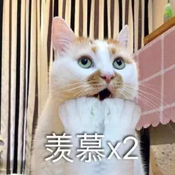 冠军赛模式震撼来袭，宝宝告诉你这模式到底有多上头！