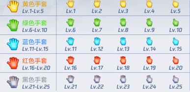 手套和驾照的秘密，你知道么？点进来还有跨界合作小惊喜哦