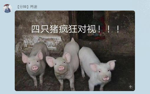 一,二,三?第四只呢?