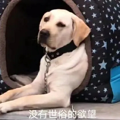 今天单身狗终于挺了过来