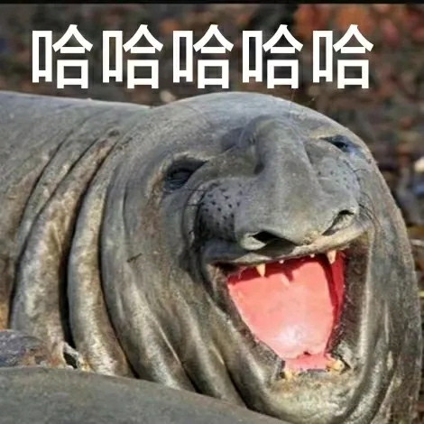 假如一觉醒来暴瘦三十斤！