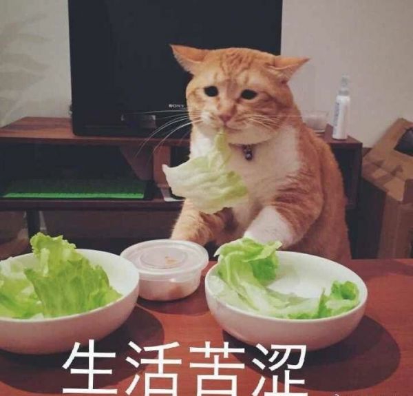 大学生毕业等于失业？