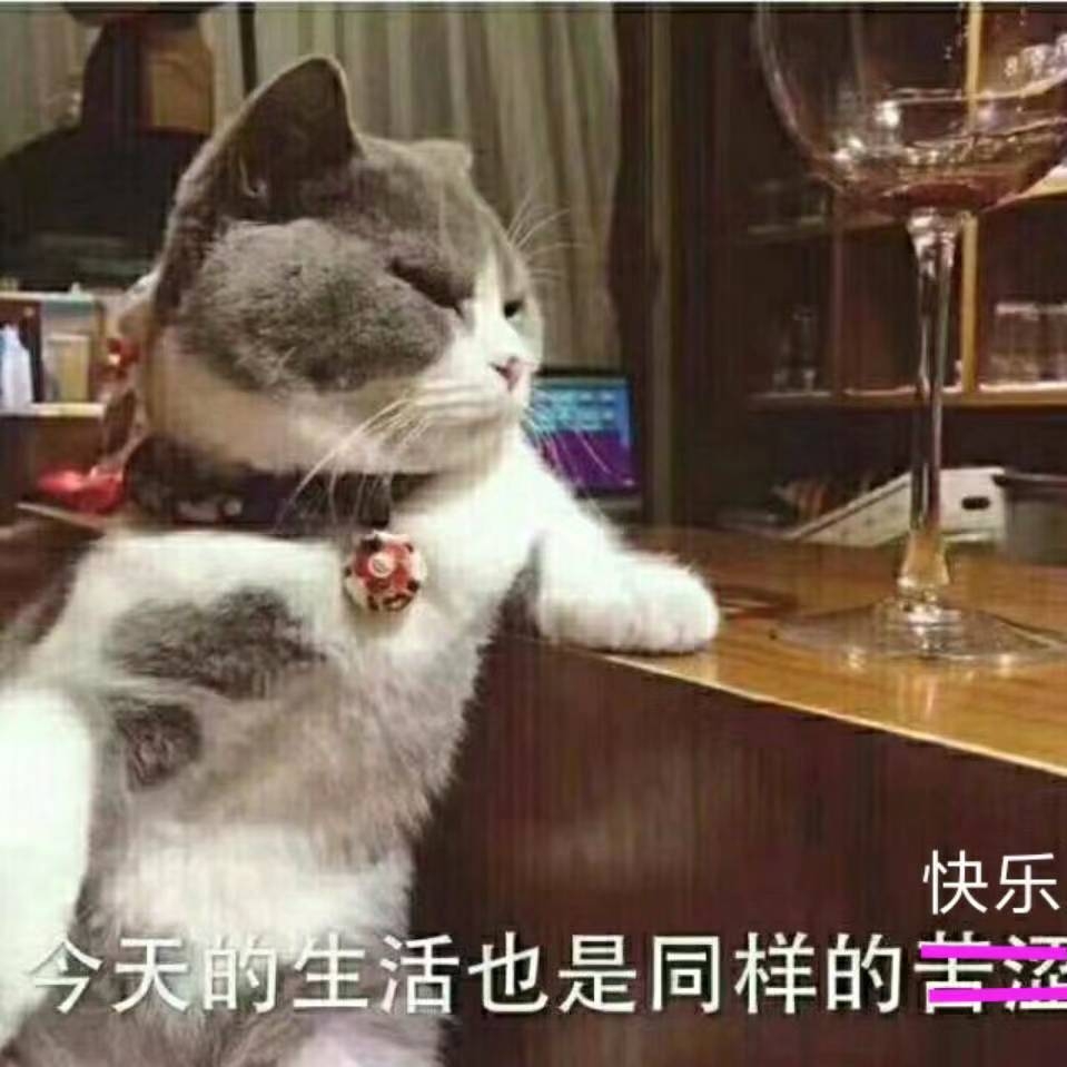 炉石酒馆有没人一起