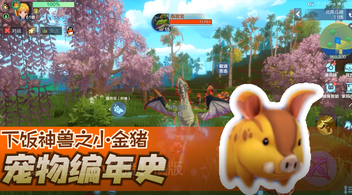 我的起源：这猪也是吉祥物？怕不是个下饭神兽吧？